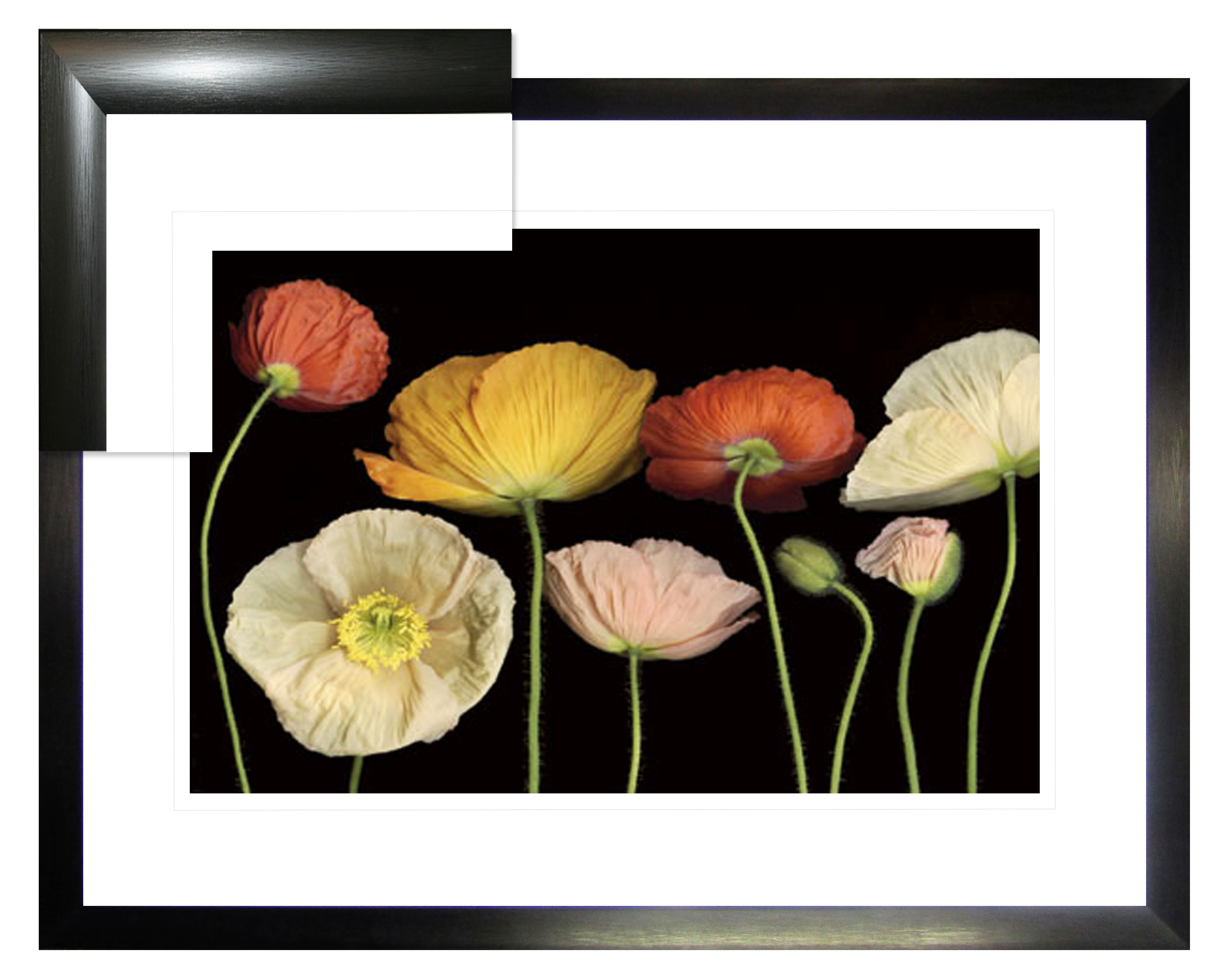 FP250 Wall décor art framed print floral black frame